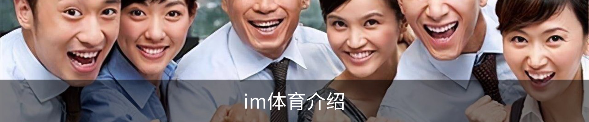 im体育介绍